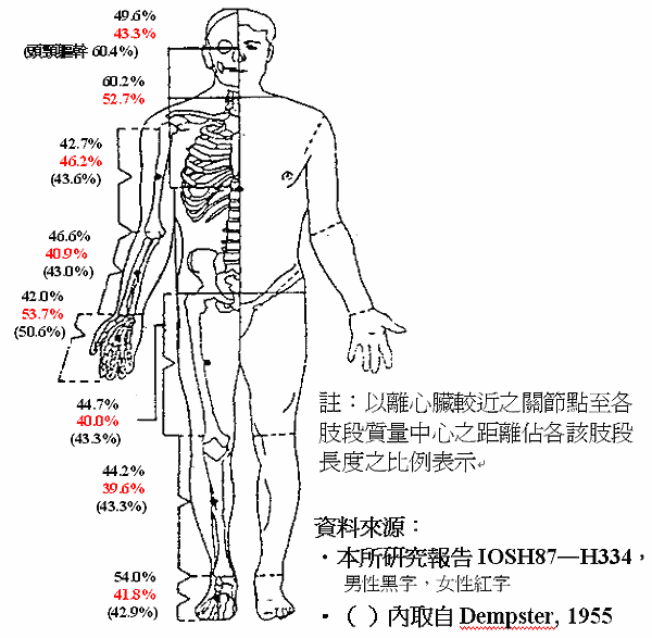 國內（外）人人體肢段質心示意圖