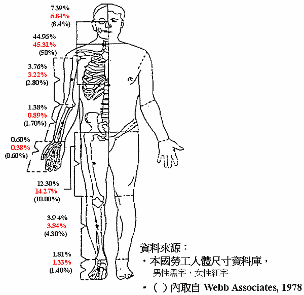 國內（外）人人體肢段佔體重百分比